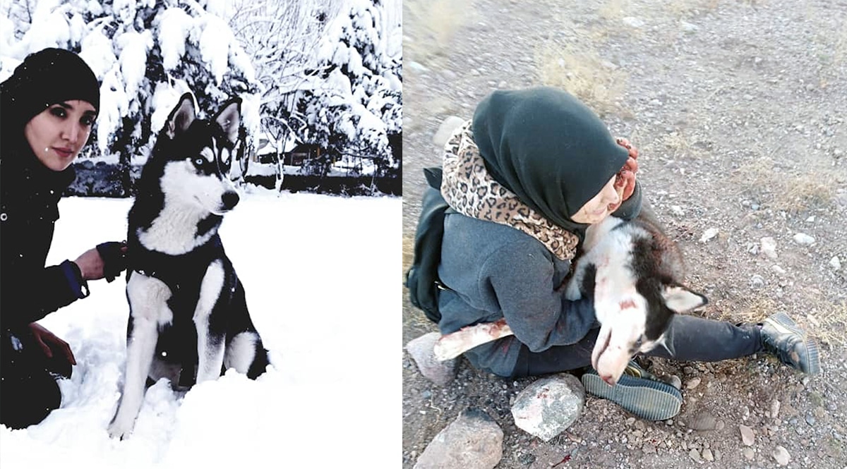Afghan female athlete to leave the country after her dog shot dead by gunmen