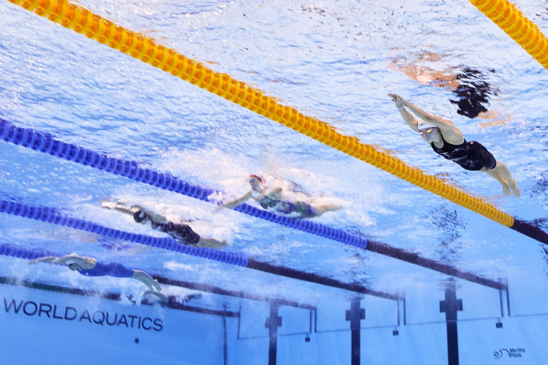 World Aquatics To Trial New Concepts and Add Opportunities for Athletes