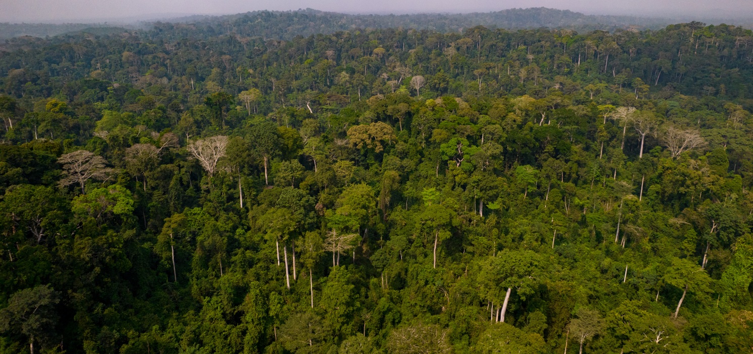 One Carbon World joins Carbon Markets Africa Summit as official climate impact partner